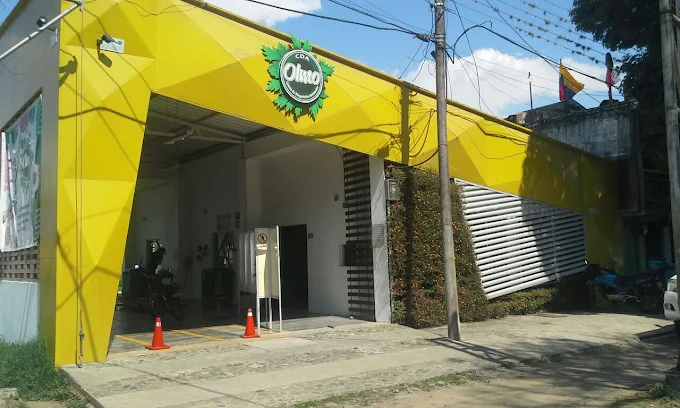 olmo